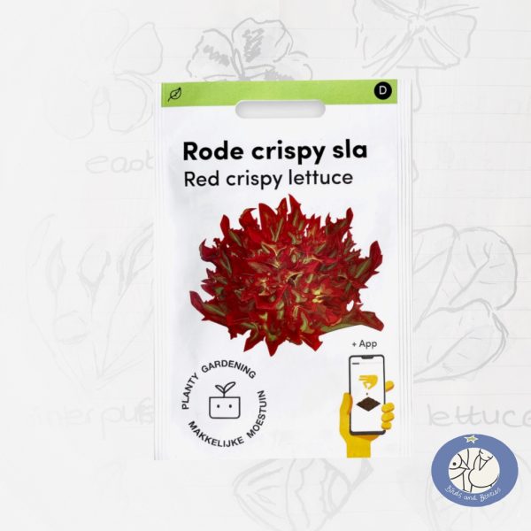 Productafbeelding 3884 van rode Crispy sla Pro. Een nieuw zaad van de Makkelijke Moestuin dat in de professionele teelt wordt gebruikt. Elk zaadje heeft een kleilagen.