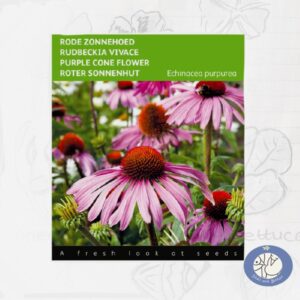 Product 8501 is een zakje zaden met 0,5 gram Echinacea purpurea . De rode zonnehoed bij Birds and Berries in Bonheiden.