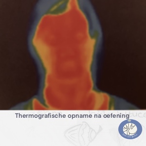 Productafbeelding van een thermografie na het uitvoeren van een bepaalde oefening bij face yoga